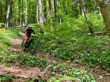 Lady Bike Day